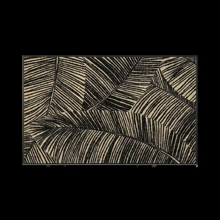 Begrenztes Angebot Fußmatte Fernetic 75×120 Anthrazit Beige