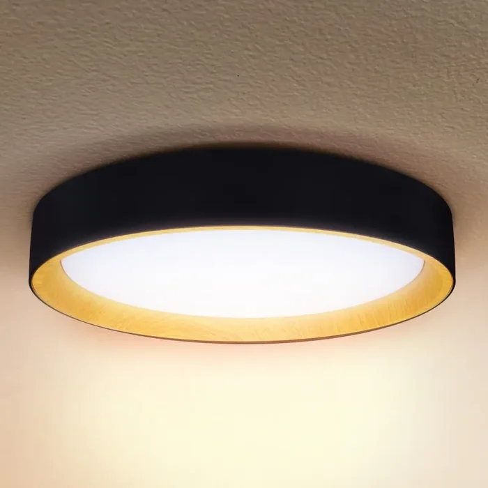 Brilagi – Dimmbare LED-Deckenleuchte LARIOS LED/48W/230V 3000-6500K ø 39 cm schwarz + Fernbedienung Angebot